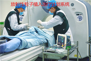 放射性粒子植入治疗计划系统